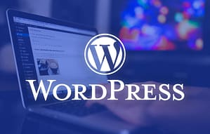diseño web con wordpress